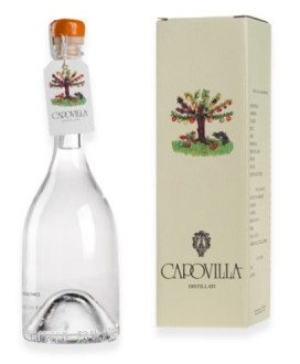 Capovilla - Distillato di albicocche - Astucciato - 50cl