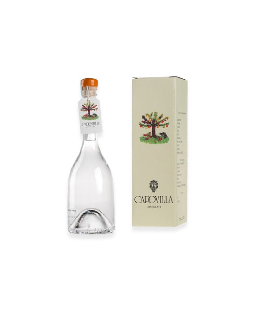 Capovilla - Distillato di albicocche - Astucciato - 50cl