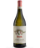 Vietti - Roero Arneis 2020 - DOCG - 75cl