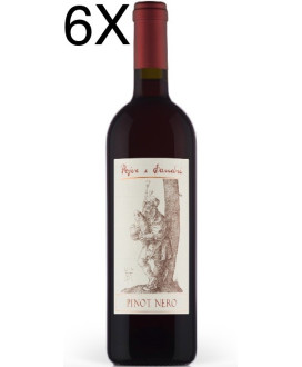 (3 BOTTIGLIE) Pojer e Sandri - Pinot Nero 2019 - Vigneti delle Dolomiti IGT - 75cl