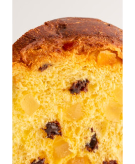 Scarpato - Panettone Cioccopera - 1000g