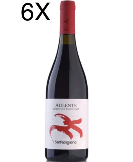 San Patrignano Aulente Red wine online shop Sanpatrignano community wines | Corso101.com