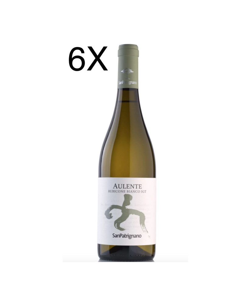 San Patrignano Wines - Aulente Bianco Rubicone IGT - Shop online Sanpatrignano white wines - Sale price italian wine