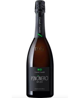 Contadi Castaldi Pinònero Natura. Shop online Contadi Castaldi, italian quality sparkling wine. Best price on-line sale