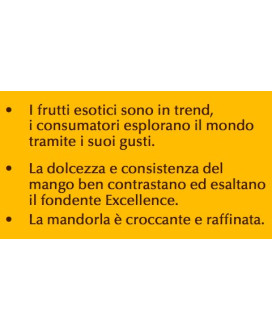 Lindt - Excellence - 70% Delicato - 100g - NEW