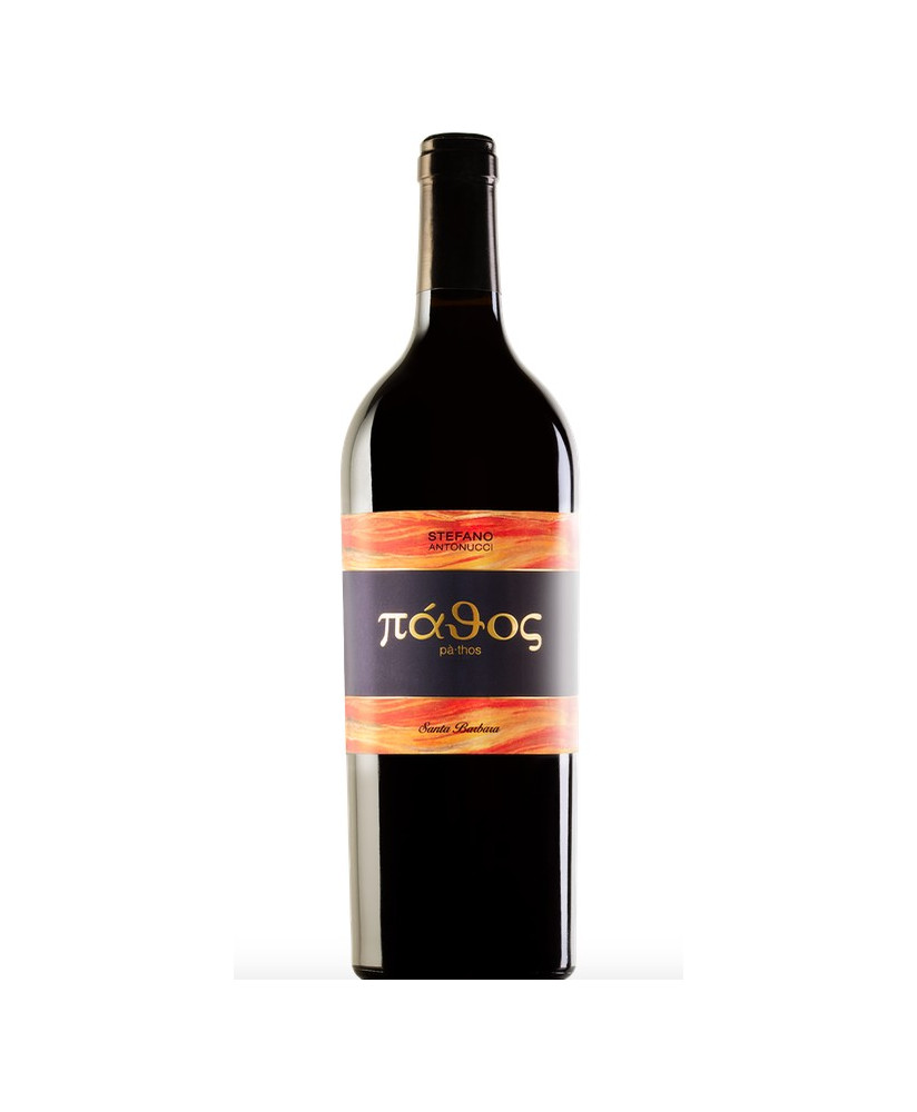 Shop online red wine Pathos Stefano Antonucci sale price | corso101