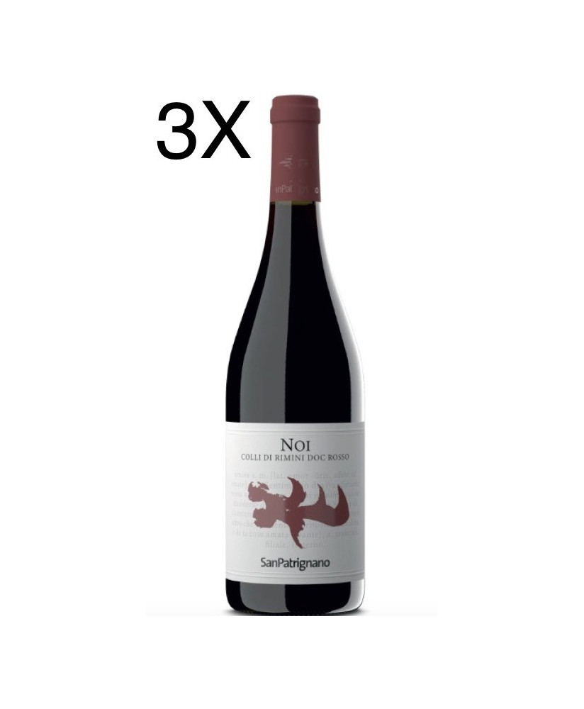 San Patrignano Noi red wine online shop Sanpatrignano community | Corso101.com