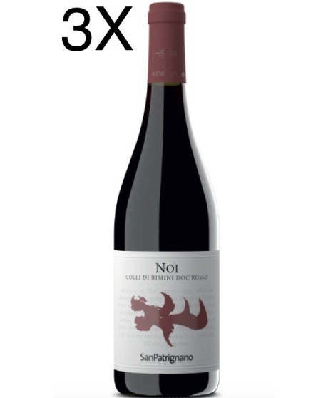 San Patrignano Noi red wine online shop Sanpatrignano community | Corso101.com