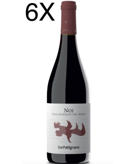 San Patrignano Noi red wine online shop Sanpatrignano community | Corso101.com