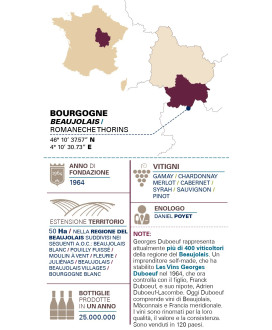 Georges Duboeuf - Beaujolais - Villages Nouveau 2022 - 75cl