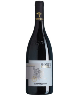 San Patrignano Montepirolo Cabernet vendita online vini rossi  | Corso101.com