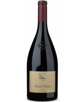 Terlan Pinot Noir alto adige vendita online Terlano | Corso101