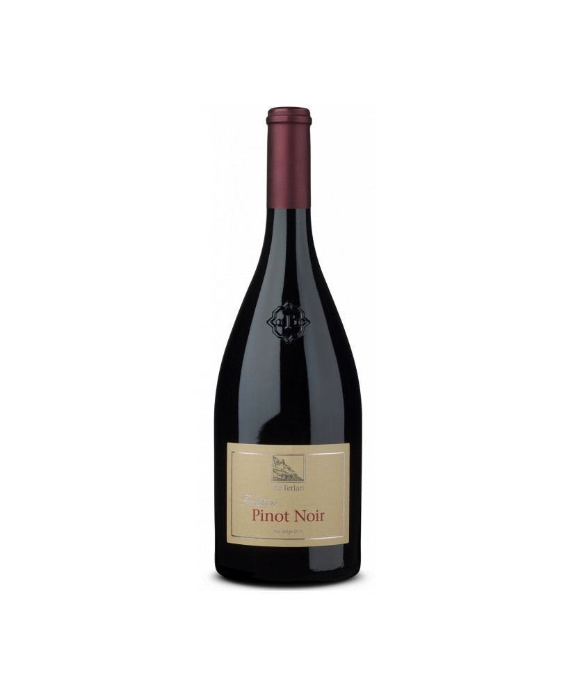 Terlan Pinot Noir alto adige shop online Terlano wine | Corso101