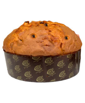 Online sale Delicious OUR RANGE OF THE BEST CRAFT PANETTONI: ALBERTENGO, FIASCONARO, Filippi, FLAMIGNI, LOISON, COVA, PERBELLINI