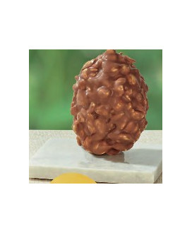 Sale online Lindt Easter egg - Milk Chocolate with Hazelnut Vulpitta Dolciumi, Corso 101, shop online easter egg, sale online Li