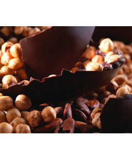 Majani - Nocciolone - Dark Chocolate with whole Hazelnuts - | Corso101