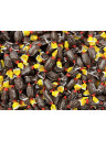 Pastiglie Leone - Sugar Free Coffee Candies - 500g