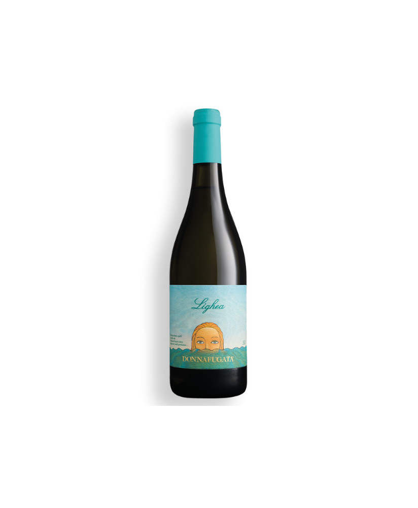 Donnafugata Zibibbo Lighea, Sicily Doc, online sale Donnafugata Sicilian white wines at the best price, shop italian wine