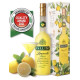 Pallini - Limoncello - 50cl - Astucciato