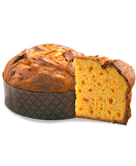 Vendita online panettoni Albertengo artigianali all' albicocca. Shop on line panettone artigianale di pasticceria con canditi di