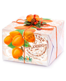 Flamigni - Panettone Albicocche "Albisole" - 1000g