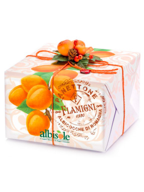 Flamigni - Panettone Albicocche "Albisole" - 1000g