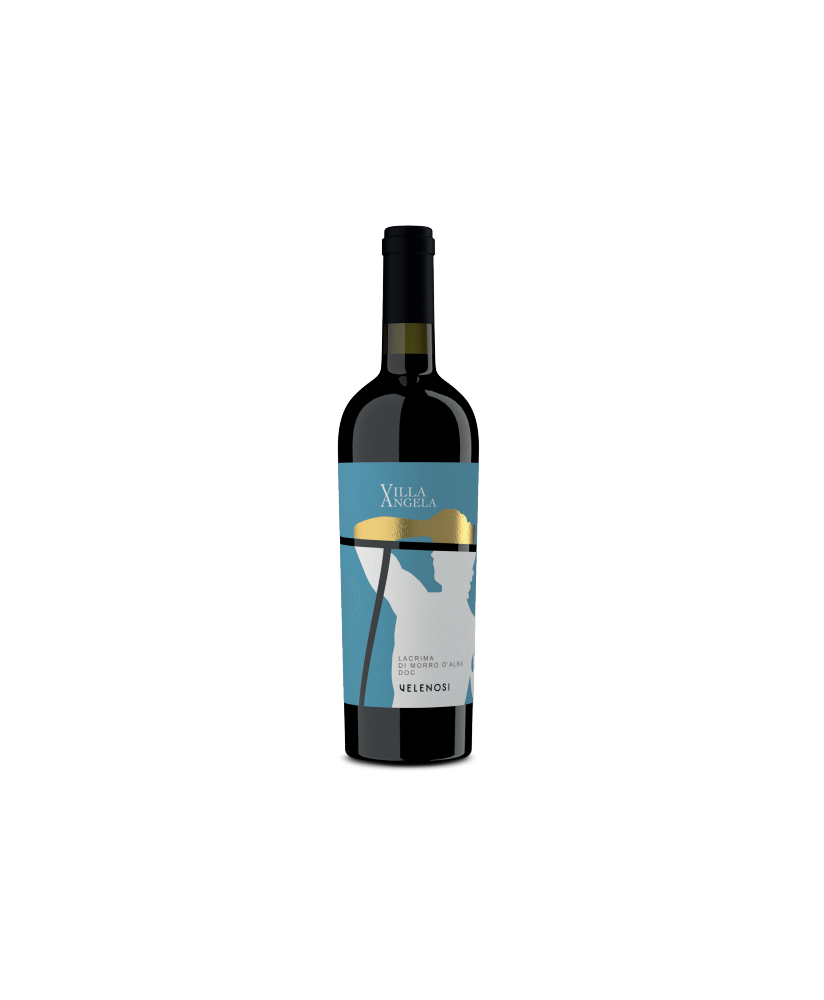 Lacrima di Morro Velenosi shop quality italian red wine | corso101.com