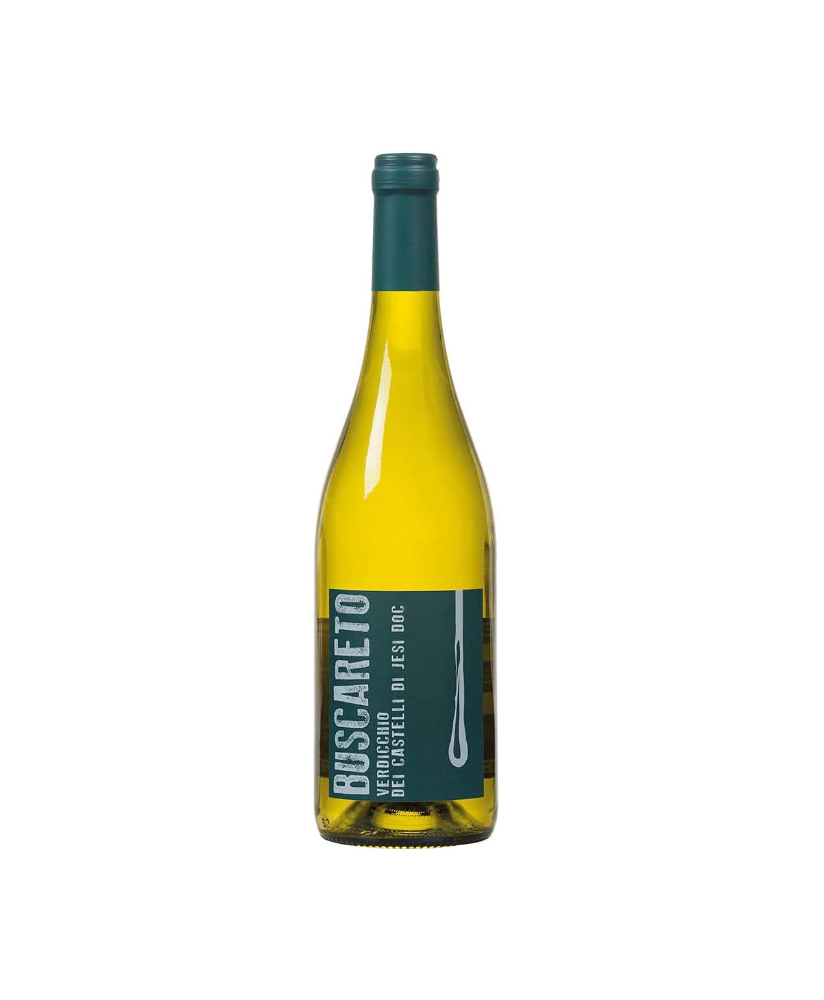 Conti di Buscareto - Verdicchio Dei Castelli di Jesi 2023 -  DOC - 75cl