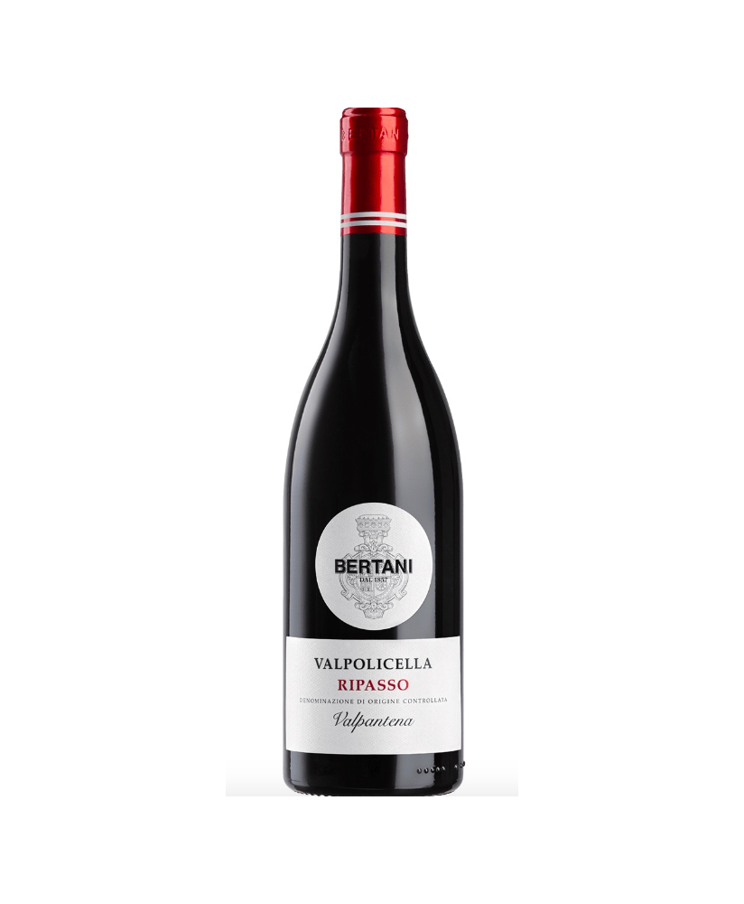 Shop online ripasso della valpolicella Bertani price sale | corso101