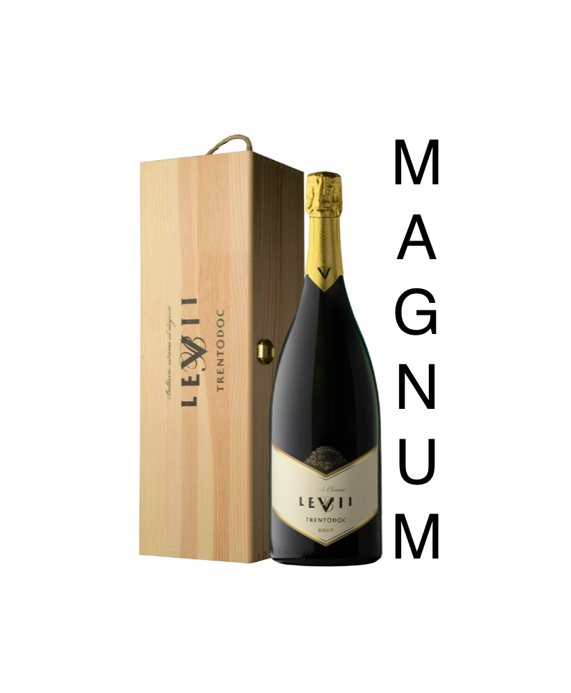 Levii Trento doc brut price shop online sparkling wine | corso101.com