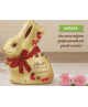 Gold Bunny - Milk Chocolate - 100g - Affection Line