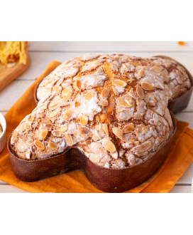 Infermentum - Apricot Colomba - 750g