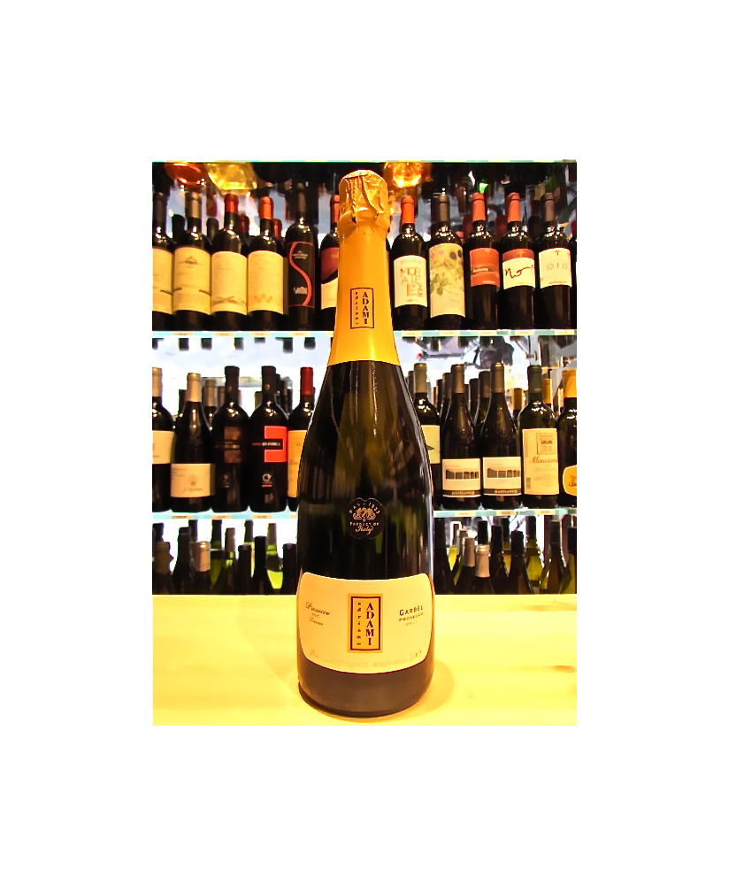 Vendita online Prosecco Adami Treviso DOC Garbèl. Shop on line Prosecco Adami, vino bianco frizzante morbido e fruttato. Prosecc