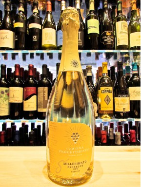 Progettidivini - Prosecco DOC Treviso Millesimato - 75cl