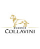 COLLAVINI