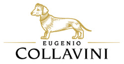 COLLAVINI