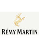 REMY MARTIN